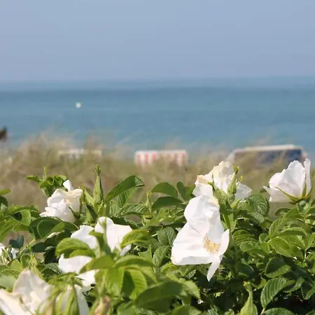 In Kr Pelin Nahe Ostsee Kropelin