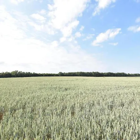 In Kr Pelin Nahe Ostsee Апартаменты Kropelin